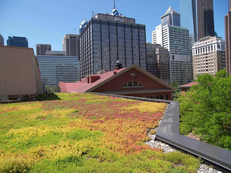 paysagiste-MEOUNES LES MONTRIEUX-min_green-roof-portfolio-4